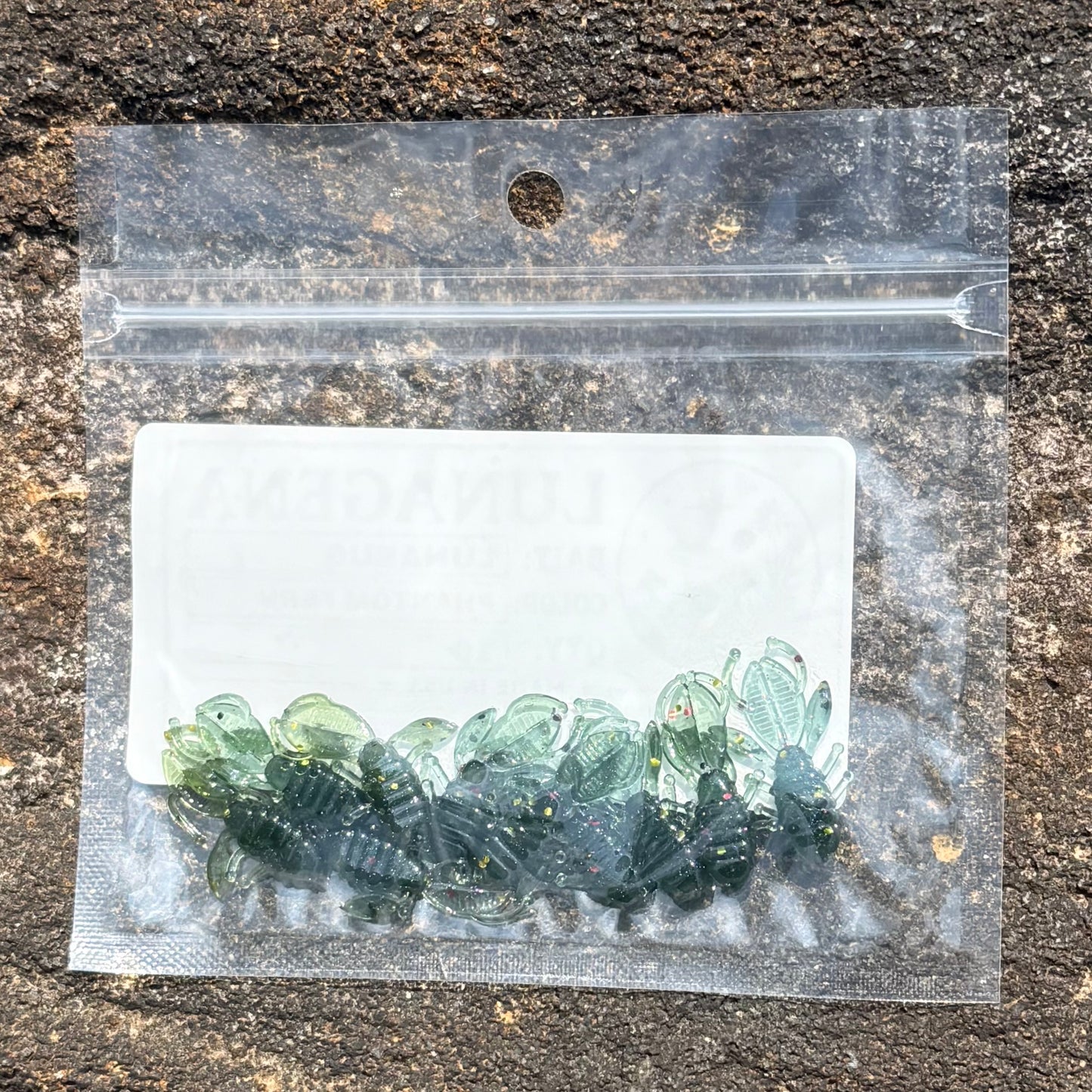 LunaBugs - Phantom Fern
